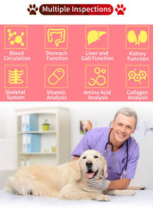 Analisador Corporal Quântico <span class=keywords><strong>Mini</strong></span> para Gatos e Cães 2026 Conectividade USB Uso Doméstico Scanner Corporal Animal Diagnóstico de Saúde Certificado CE - Product Image 2