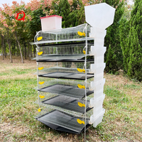 Cage à cailles de conception innovante pour élevage de cailles (10000 oiseaux)