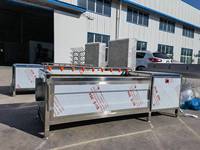 Industriële Groentewasmachine Walnootwasmachine Fruit En Plantaardige Verwerkingsapparatuur