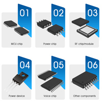 Chip de Voz de Alta Calidad TRSF1602AC OEM ODM, Circuito Integrado de Audio Premium, Bajo Consumo de Energía, Tecnología de Salida de Voz Estable