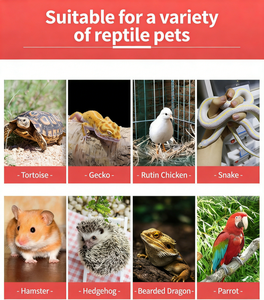 Terrarios <span class=keywords><strong>de</strong></span> PVC para Reptiles <span class=keywords><strong>y</strong></span> Mascotas Exóticas como Dragones Barbudos, Avestruces, <span class=keywords><strong>Serpientes</strong></span>, Tortugas, Aves <span class=keywords><strong>y</strong></span> Erizos - Product Image 2
