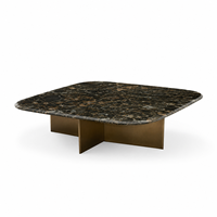 Table basse de luxe moderne ZEECI, grande et carrée, design en pierre exotique platine, finition laiton antique brossé, montage facile pour salon