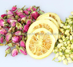 Secador de congelación al vacío pequeño de mesa de 4-6Kg para uso doméstico en laboratorio - Product Image 6