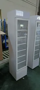 Tủ lạnh đông lạnh thương mại tùy chỉnh, đứng thẳng, có máy nén, dùng để trưng bày kem - Product Image 2