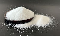 BANGZE Bicarbonate de Sodium CAS 144 55 8 Poudre Blanche pour Additif Alimentaire E500 et Boissons 25kg