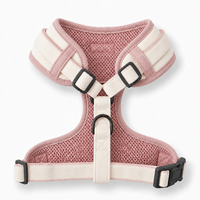 Harnais pour chien en coton rembourré avec broderie fraise, réglable, respirant, à libération rapide, pour chiots de petite et moyenne taille