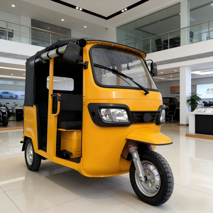 Motocyclette à trois roues à essence avec side-car, carrosserie ouverte, motorisée, 250cc, certifiée CEE, 4 passagers - Product Image 3