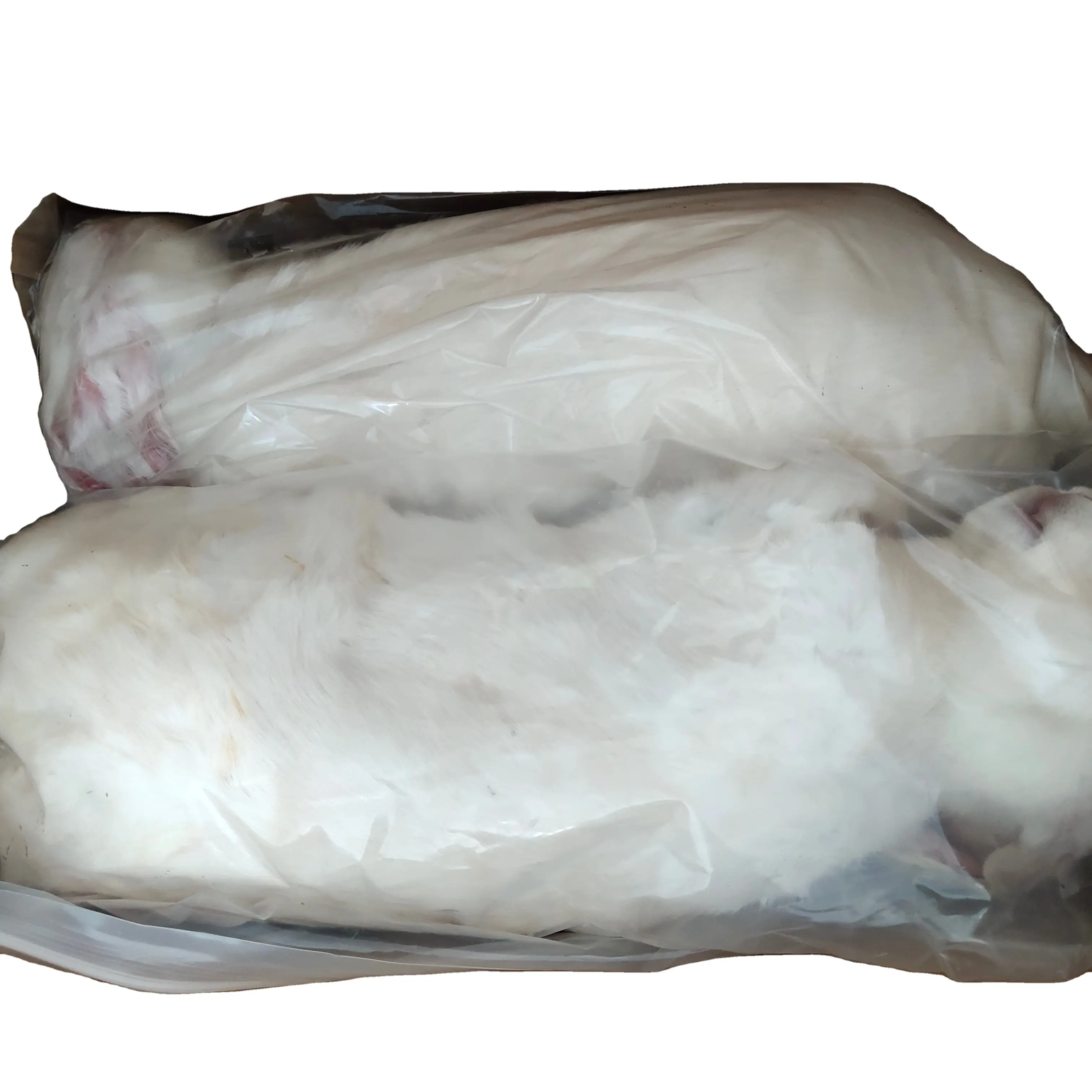 Frozen Whole Rabbits For Large Predators Reptiles And Birds Of Prey Farm Breed For Animal Consumption