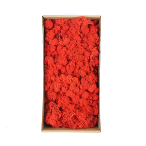 High Quality Preserved &amp; Real Moss for Valentine's Day Christmas &amp; Graduation Decorations Eco-Friendly Indoor/Outdoor Use - Product Image 1