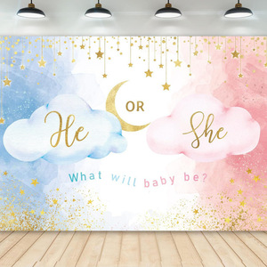 Fondo de Fotografía para Revelación de Género Azul y Rosa, Poliéster, Decoración para Fiesta de Cumpleaños de Niño o Niña - Product Image 4