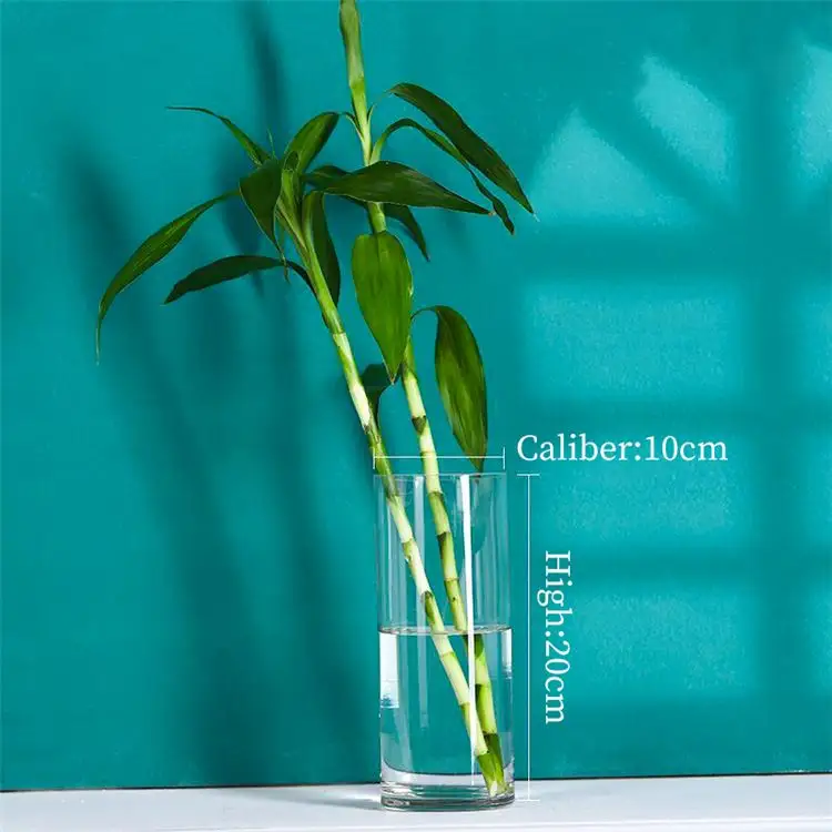 Декоративный цилиндр, центральный элемент, небольшой мини-стол, роскошные белые стеклянные вазы для растений на открытом воздухе и в помещении