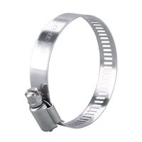 Colliers de serrage réglables en acier inoxydable 304 électroplaqué de haute qualité pour tuyaux avec système de mesure métrique, fabriqués en Chine