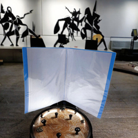 Organizador de Archivos Impermeable Tamaño A4 para Oficina y Escuela, 20 Bolsillos Transparentes de Plástico para Organizar Archivos Escolares y de Oficina