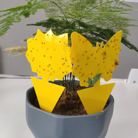 Vente directe d'usine pièges collants jaunes tueur de mouches à fruits pièges pour insectes de plantes volantes avec différentes formes