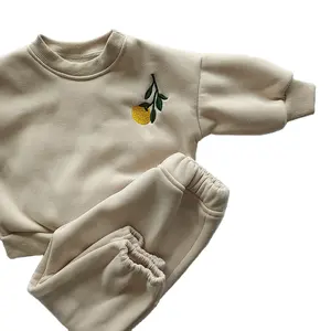 Baby Clothes Set Fleece Embroidery Daisy Pullover Sweatshirt Jogger Pants Set Girls Toddler Tops Tracksuit