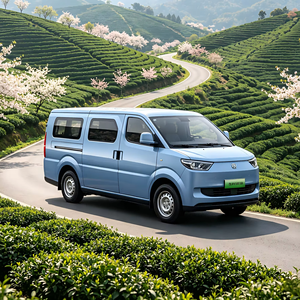 RICH EC75 Electric Van Cargo LHD 6 Seater 1.2T Load Capacity 334km Long Range for Business - Product Image 1