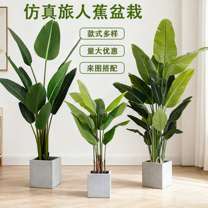 Palmier du Voyageur Artificiel Dream Castle en Pot 200cm+ Décoration Intérieure en Plastique pour la Maison Décoration au Sol Personnalisable - Product Image 1