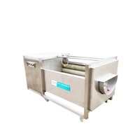 Machine de lavage et de découpe continue haute productivité pour légumes, soja, pommes de terre, fruits, maïs, avec brosse et pulvérisation d'eau
