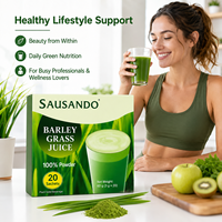 Poudre de jus d'herbe d'orge végétalienne, superaliment vert, boisson détox naturelle à base de plantes, nutrition quotidienne, boisson santé, supplément OEM ODM