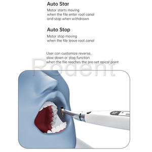 Fornitore di Strumenti Endodontici Dentali: Localizzatore Apicale e Motore Endodontico Rotante per Trattamenti Orali - Product Image 4