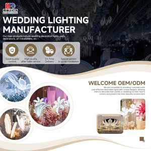 Led BƯỚM CÁNH cho đám cưới sân khấu Backdrop tổ chức sự kiện trang trí đạo cụ & chiếu sáng tường trang trí AC cung cấp điện - Product Image 4