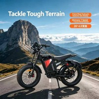 Vélo électrique à gros pneus avec freins à disque hydrauliques, moteur 60V 2000W, écran LCD E300, vente en gros, vélo cargo, quad électrique
