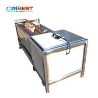 Duurzame Industriële Elektrische Sinaasappel Aardappelschiller Wasmachines Automatische Borstelwasmachine Fruit En Groente