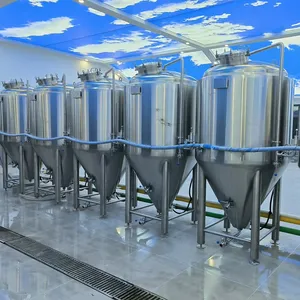 Roestvrijstalen Baar Conische Fermentertank Groothandel Bierfermentatie-Apparatuur