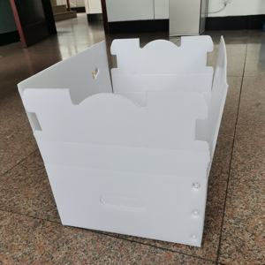 Caja de embalaje de espárragos de plástico corrugado - Product Image 3