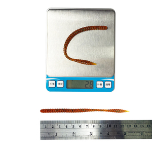 Novidade: Iscas Artificiais de Silicone Newbility 130mm 2.8g em Formato de Minhoca para Pesca - Product Image 6