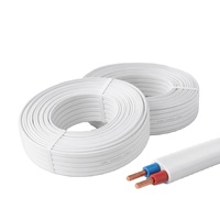 BVVB Flaches PVC-Kabel Kupferleiter 450/750V Gebäudekabel für Hausverdrahtung und Oberflächeninstallation