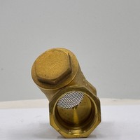 Filtre anti-retour en laiton type Y SD, entrée 1 pouce, température moyenne, en stock, sans MOQ, pour système de tuyauterie d'eau