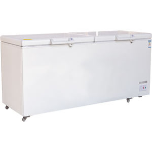 כפור אופקית חינם אולטרה נמוכה במיוחד טמפרטורה נמוכה חום מהיר עוף רעם גלידת גלים גדולים ומקפיא עמוק - Product Image 3