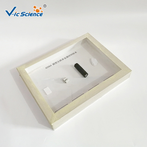 Nouveaux échantillons et spécimens de matériaux non métalliques inorganiques en PVC, kit de spécimens de modèles anatomiques pour la science médicale avancée - Product Image 5