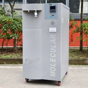 Taşınabilir Diyaliz Makinesi Böbrek Hemodiyaliz RO Su Sistemi Ozonatör Jeneratör Kompakt Su Arıtıcı Basınçlı Kap Pompası - Product Image 1