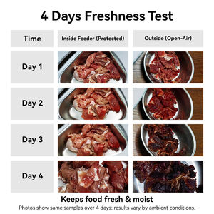 스마트 고양이 습식 사료 급식기, 활성 냉각 및 가열 기능이 있는 고양이 급식기, 원격 앱 제어, 음성 상호작용, 모니터링 카메라 포함 - Product Image 6