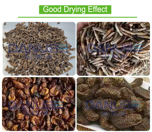 Black Soldier Fly Dehydrated Machine for Animal Forage Dryer Machine - Product Image 5