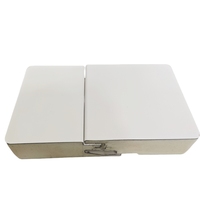 Panneaux muraux sandwich préfabriqués de haute qualité pour garage entrepôt chambre froide et hôtel pour murs extérieurs de bâtiments