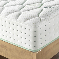 Hochwertige Neue Design-Federkernmatratze mit Memory-Schaum zu Günstigen Preisen und Queen-Size-Matratze