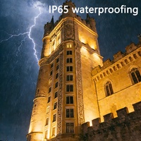 100W Super Bright LED Spotlight IP65 Étanche Faisceau Extérieur Lumière pour Jardin Paysage Architectural Façade Mur Wash Light