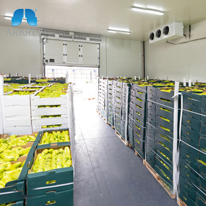 Tiết Kiệm Năng Lượng Lạnh Tươi Khoai Tây Táo Trái Cây Rau Đúc Sẵn Lạnh Lưu Trữ Lạnh Phòng Kho Giá - Product Image 3