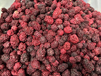 Mora Fresca Dulce Deshidratada al por Mayor Precio de Fábrica Mora Deshidratada Sin Azúcar