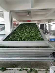 Máquina secadora de cinta de especias y hierbas de 30 toneladas, tamarindo de menta verde, Garcinia, hoja de curry, vainilla, Cicely, equipo de secado - Product Image 2