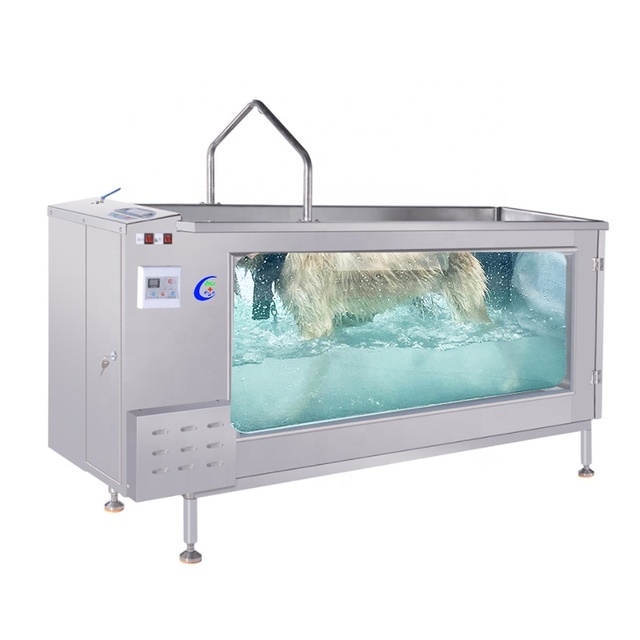 Horse Pet Canine Hydrotherapy Health Hydro Treadmill Large Size Dog Underwater Treadmill