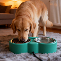 Bol d'eau chauffant pour animaux de compagnie, chauffe-eau électrique pour chien et chat, pour l'hiver, contre le froid, anti-gel, distributeur d'eau pour animaux de compagnie