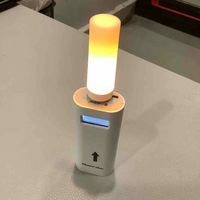 USB Led Flamme Effet Simulation Dynamique Scintillement Feu Ampoules Intérieur Veilleuse pour La Maison De Noël Fête D'anniversaire Décoration