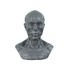 Escultura de Resina de Arte Popular, Busto y Cabeza Humana, Modelo Musculoesquelético para Decoración de Mesa de Halloween - Product Image 1