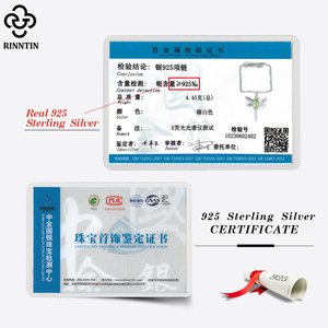 Rinntin Sswn21 Tùy Chỉnh Đồ Trang Sức Tốt Dây Chuyền 925 Sterling Bạc Con Chuồn Mặt Dây Chuyền Quyến Rũ Cho Phụ Nữ Vòng Cổ - Product Image 5