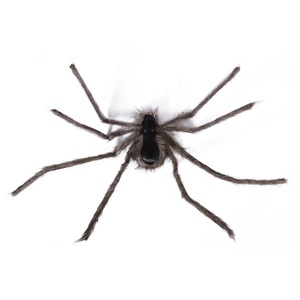 New Halloween Hairy Horror <strong>Spider</strong> for Party Decoration Wholesale Various Sizes <strong>Spider</strong> Party Props Venue Atmosphere Decoration - Product Image 3