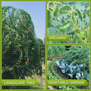 Bán Buôn HDPE Tươi Nho Chống Bird Lưới Bird Eye Lưới Vải 100% Polyester Dệt Kim - Product Image 5